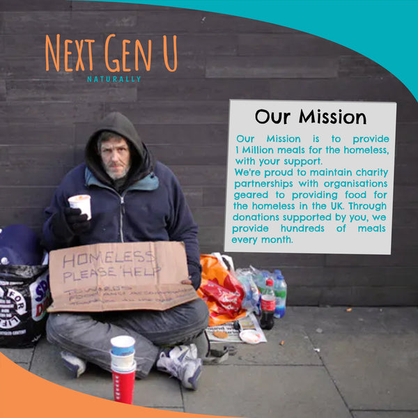 Our Mission - To Provide 1 Million Meals to the Homeless